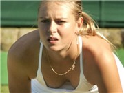 Bóng đá anh, ngoại hạng anh, lịch thi đấu euro 2012, Sharapova rút lui khỏi giải Brisbane